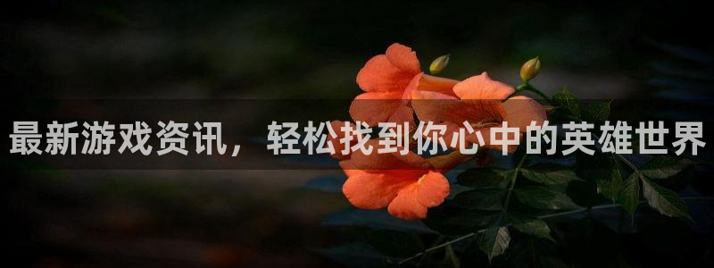天美娱乐主管：最新游戏资讯，轻松找到你心中的英雄世界