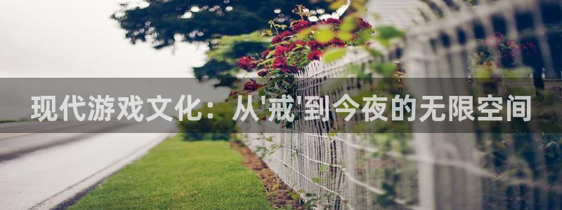 天美娱乐app：现代游戏文化：从\'戒\'到今夜的无限空间