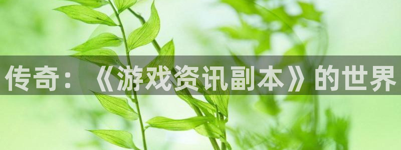 天美娱乐注册：传奇：《游戏资讯副本》的世界