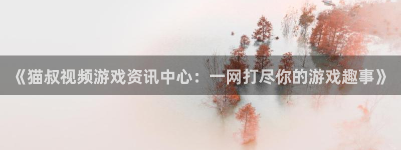 天美娱乐开户测速：《猫叔视频游戏资讯中心：一网打尽你的游戏趣